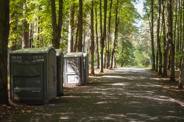 Best Porta potty rental near me  in Ellington, MO